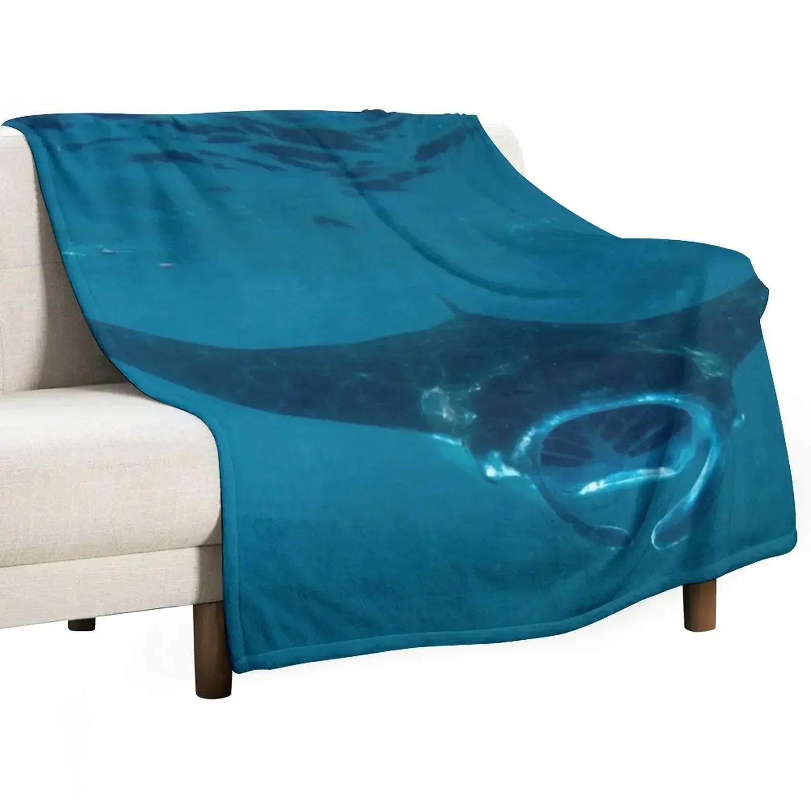 Curious Manta Ray At Crystal B - 3D Printing Bali recensie en prijs