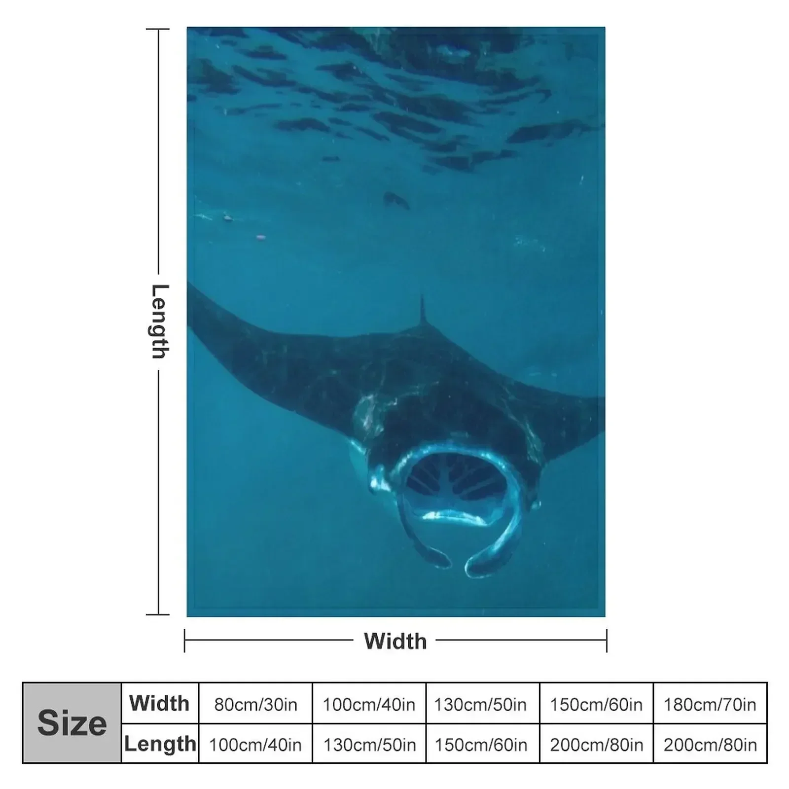 Curious Manta Ray At Crystal B - 3D Printing Bali recensie en prijs