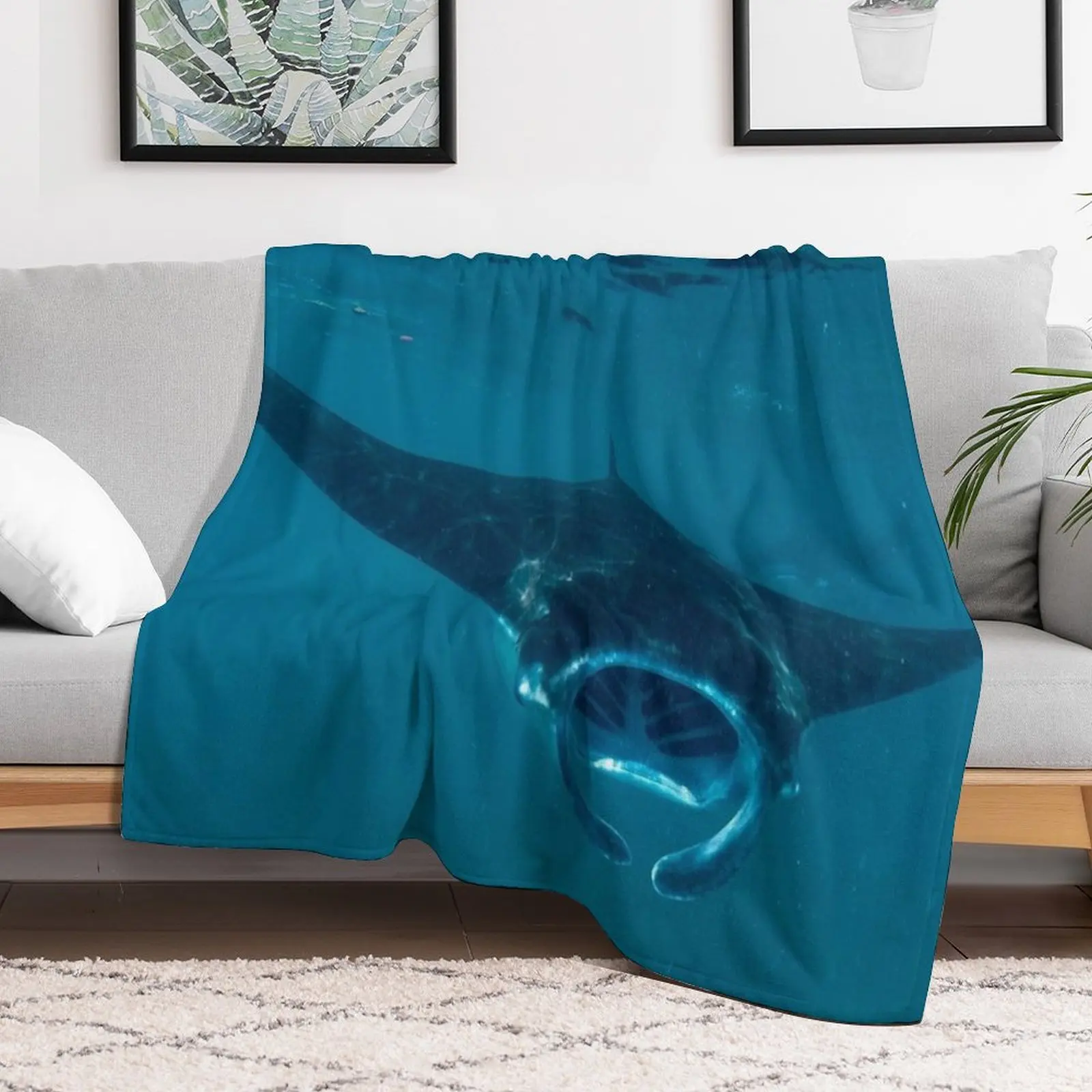 Curious Manta Ray At Crystal B - 3D Printing Bali recensie en prijs