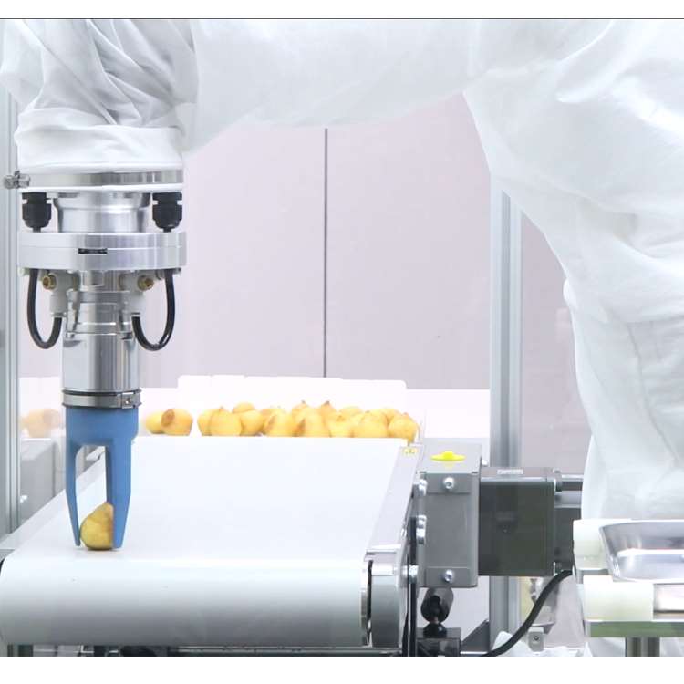 6-Axis CNC Robotic Arm with Li - Linear Guide Rail recensie en prijs